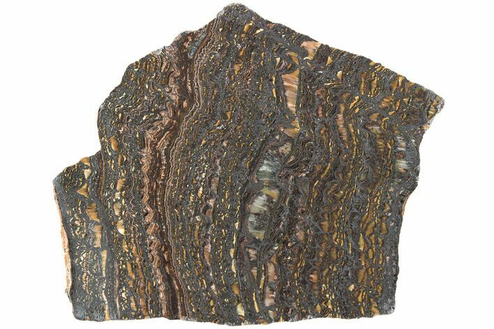 Polished Tiger Iron Stromatolite Slab - Billion Years #222031